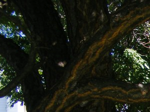 Photos and Video of Indian Hills Apartments in Gillette, WY